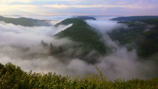Link to Video | landscape, Saarland, Germany, vegetation, fog, forest, Saarschleife, nature