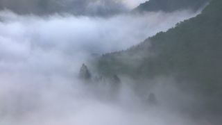 Link to Video | landscape, Saarland, Germany, vegetation, fog, forest, Saarschleife, nature