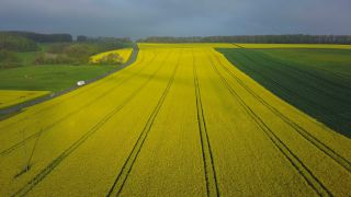 Link to Video | landscape, agriculture, bird's-eye view, Rhineland-Palatinate, rapeseed, Germany, field, aerial shot, Saargau
