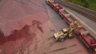 Link to Video | bird's-eye view, Schotterwerk, excavator, loader, railway, loading, aerial shot, industrial sector, train, freight train