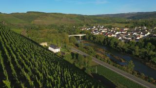 Link to Video | landscape, bird's-eye view, Rhineland-Palatinate, Kanzemer Altenberg, Saar, vineyard location, Germany, wine-producing region, vineyard, viticulture, river, aerial shot, Kanzem, Mosel-Saar-Ruwer