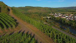 Link zum Video | Landschaft, Vogelperspektive, Rheinland-Pfalz, Kanzemer Altenberg, Saar, Weinlage, Deutschland, Weinbaugebiet, Weinberg, Weinbau, Fluss, Luftaufnahme, Kanzem, Mosel