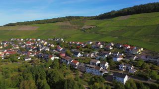 Link to Video | bird's-eye view, Rhineland-Palatinate, Saar, Germany, Ockfener Bockstein, wine-producing region, vineyard, viticulture, Ockfen, aerial shot, Ockfen, Mosel-Saar-Ruwer