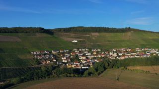 Link to Video | bird's-eye view, Rhineland-Palatinate, Saar, Germany, Ockfener Bockstein, wine-producing region, vineyard, viticulture, Ockfen, aerial shot, Ockfen, Mosel-Saar-Ruwer