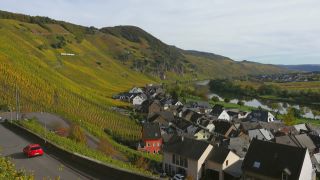 Link to Video | landscape, Rhineland-Palatinate, autumn, Moselle, Germany, wine-producing region, vineyard, viticulture, Ürzig, Mosel-Saar-Ruwer, Dorf, nature, Moselle Valley