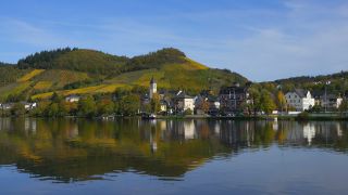 Link to Video | Rhineland-Palatinate, autumn, Moselle, Germany, wine-producing region, viticulture, Bullay, river, Bullay, Mosel-Saar-Ruwer, Cochem-Zell