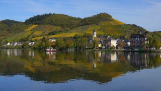 Link to Video | Rhineland-Palatinate, autumn, Moselle, Germany, wine-producing region, viticulture, Bullay, river, Bullay, Mosel-Saar-Ruwer, Cochem-Zell