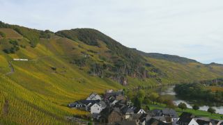 Link to Video | landscape, Rhineland-Palatinate, autumn, Moselle, Germany, wine-producing region, vineyard, viticulture, Ürzig, Mosel-Saar-Ruwer, Dorf, nature, Moselle Valley