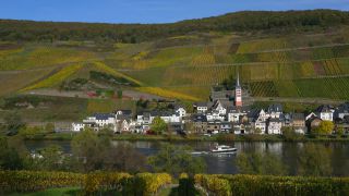 Link to Video | Rhineland-Palatinate, autumn, Moselle, Germany, Zell (Mosel), Merl, wine-producing region, vineyard, viticulture, river, Mosel-Saar-Ruwer, Moselle Valley