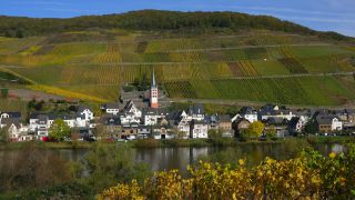 Link to Video | Rhineland-Palatinate, autumn, Moselle, Germany, Zell (Mosel), Merl, wine-producing region, vineyard, viticulture, river, Mosel-Saar-Ruwer, Moselle Valley