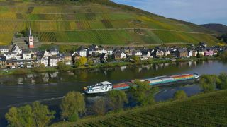 Link to Video | Rhineland-Palatinate, autumn, Moselle, Germany, Zell (Mosel), Merl, wine-producing region, vineyard, viticulture, river, Mosel-Saar-Ruwer, Moselle Valley