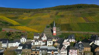 Link to Video | Rhineland-Palatinate, autumn, Moselle, Germany, Zell (Mosel), Merl, wine-producing region, vineyard, viticulture, river, Mosel-Saar-Ruwer, Moselle Valley