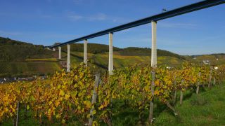 Link to Video | landscape, Rhineland-Palatinate, bridge, autumn, Hochmoselübergang, Moselle, Verkehr, Germany, Zeltingen-Rachtig, wine-producing region, vineyard, viticulture, Ürzig, road, Mosel-Saar-Ruwer, transport, architectural structure, Hochmosel Bridge, Moselle Valley