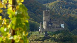 Link to Video | Rhineland-Palatinate, Bernkastel-Kues, Moselle, Germany, wine-producing region, vineyard, viticulture, river, Mosel-Saar-Ruwer, Moselle Valley