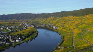 Link to Video | landscape, Rhineland-Palatinate, autumn, Moselle, Germany, Vitis, wine-producing region, vineyard, viticulture, Piesport, valley, river, Mosel-Saar-Ruwer, Moselle Valley