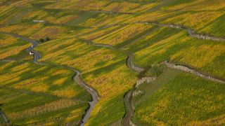 Link zum Video | Landschaft, Rheinland-Pfalz, Herbst, Mosel, Deutschland, Weinreben, Weinbaugebiet, Weinberg, Weinbau, Piesport, Tal, Fluss, Mosel, Moseltal