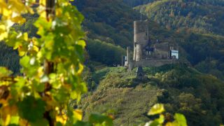 Link to Video | Rhineland-Palatinate, Bernkastel-Kues, Moselle, Germany, wine-producing region, vineyard, viticulture, river, Mosel-Saar-Ruwer, Moselle Valley