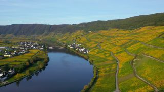Link to Video | landscape, Rhineland-Palatinate, autumn, Moselle, Germany, Vitis, wine-producing region, vineyard, viticulture, Piesport, valley, river, Mosel-Saar-Ruwer, Moselle Valley