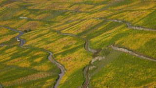 Link zum Video | Landschaft, Rheinland-Pfalz, Herbst, Mosel, Deutschland, Weinreben, Weinbaugebiet, Weinberg, Weinbau, Piesport, Tal, Fluss, Mosel, Moseltal