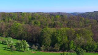Link zum Video | Landschaft, Baum, Vogelperspektive, Rheinland-Pfalz, Frühling, Deutschland, Vegetation, Mischwald, Grün, Wald, Luftaufnahme, Saarburg, Mischwald, Natur