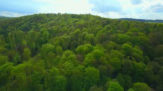 Link to Video | landscape, tree, bird's-eye view, Rhineland-Palatinate, spring, Germany, vegetation, mixed forest, green, forest, aerial shot, Saarburg, temperate broadleaf and mixed forest, nature