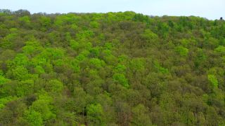 Link to Video | landscape, tree, bird's-eye view, Rhineland-Palatinate, spring, Germany, vegetation, mixed forest, green, forest, aerial shot, Saarburg, temperate broadleaf and mixed forest, nature