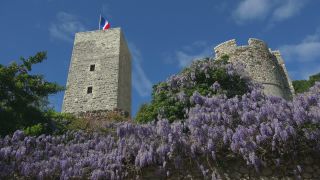 Link to Video | tourist destination, Southern France, summer, France, Provence-Alpes-Côte d'Azur, French Riviera, color, 2019, Alpes-Maritimes, Cannes, Mediterranean Sea