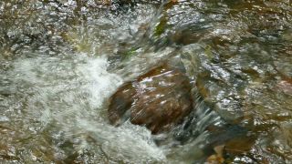 Link to Video