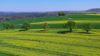 Link zum Video | Landschaft, Landwirtschaft, Vogelperspektive, Rheinland-Pfalz, Landschaftselement, Deutschland, Vegetation, Landform, Agrarlandschaft, Luftaufnahme, Fisch, Natur, Saargau