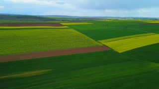 Link to Video | landscape, agriculture, bird's-eye view, Rhineland-Palatinate, landscape element, Germany, vegetation, landform, landscape of agriculture, aerial shot, Fisch, nature, Saargau