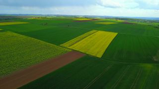 Link to Video | landscape, agriculture, bird's-eye view, Rhineland-Palatinate, landscape element, Germany, vegetation, landform, landscape of agriculture, aerial shot, Fisch, nature, Saargau