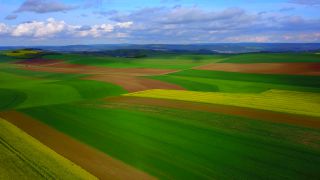 Link zum Video | Landschaft, Landwirtschaft, Vogelperspektive, Rheinland-Pfalz, Landschaftselement, Deutschland, Vegetation, Landform, Agrarlandschaft, Luftaufnahme, Fisch, Natur, Saargau