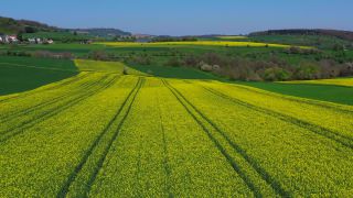 Link zum Video | Landschaft, Landwirtschaft, Vogelperspektive, Rheinland-Pfalz, Landschaftselement, Deutschland, Vegetation, Landform, Agrarlandschaft, Luftaufnahme, Fisch, Natur, Saargau