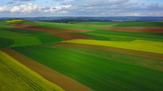 Link to Video | landscape, agriculture, bird's-eye view, Rhineland-Palatinate, landscape element, Germany, vegetation, landform, landscape of agriculture, aerial shot, Fisch, nature, Saargau