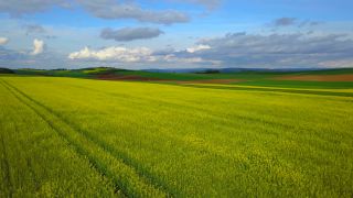 Link to Video | landscape, agriculture, bird's-eye view, Rhineland-Palatinate, landscape element, Germany, vegetation, landform, landscape of agriculture, aerial shot, Fisch, nature, Saargau