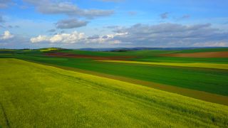 Link zum Video | Landschaft, Landwirtschaft, Vogelperspektive, Rheinland-Pfalz, Landschaftselement, Deutschland, Vegetation, Landform, Agrarlandschaft, Luftaufnahme, Fisch, Natur, Saargau