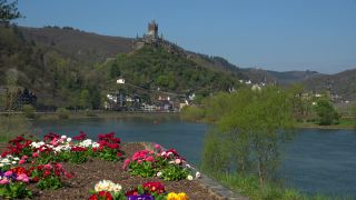Link to Video | Rhineland-Palatinate, spring, Moselle, Germany, Cochem, Cochem, Moselle Valley