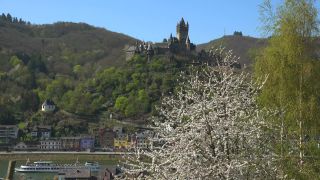 Link to Video | Rhineland-Palatinate, spring, Moselle, Germany, Cochem, Cochem, Moselle Valley