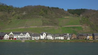 Link to Video | Rhineland-Palatinate, Moselle, physical location, Germany, wine-producing region, vineyard, viticulture, Hatzenport, Hatzenport, Mosel-Saar-Ruwer, Mayen-Koblenz, Moselle Valley