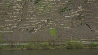 Link to Video | Rhineland-Palatinate, Germany, Weinberge, Moselle Viaduct, Winningen, Winningen, Moselle Valley