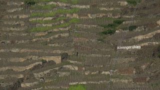 Link to Video | Rhineland-Palatinate, Germany, Weinberge, Moselle Viaduct, Winningen, Winningen, Moselle Valley