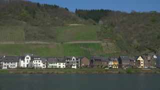 Link to Video | Rhineland-Palatinate, Moselle, physical location, Germany, wine-producing region, vineyard, viticulture, Hatzenport, Hatzenport, Mosel-Saar-Ruwer, Mayen-Koblenz, Moselle Valley