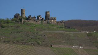 Link zum Video | Rheinland-Pfalz, Deutschland, Alken, Moseltal