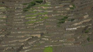Link to Video | Rhineland-Palatinate, Germany, Weinberge, Moselle Viaduct, Winningen, Winningen, Moselle Valley