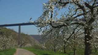 Link to Video | Rhineland-Palatinate, Germany, Weinberge, Moselle Viaduct, Winningen, Winningen, Moselle Valley