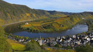 Link to Video | Bremm, Rhineland-Palatinate, autumn, Moselle, Germany, wine-producing region, vineyard, viticulture, Bremm, valley, river, human settlement, village, Mosel-Saar-Ruwer, Moselle Valley