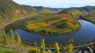 Link to Video | Bremm, Rhineland-Palatinate, autumn, Moselle, Germany, wine-producing region, vineyard, viticulture, Bremm, valley, river, human settlement, village, Mosel-Saar-Ruwer, Moselle Valley