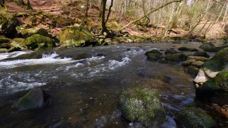 Link to Video | landscape, Rhineland-Palatinate, German-Luxembourg Nature Park, Irreler Wasserfälle, body of water, Germany, fluid flow, water, river, forest, Irrel, natural watercourse, brook, Prüm River, nature