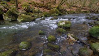 Link to Video | landscape, Rhineland-Palatinate, German-Luxembourg Nature Park, Irreler Wasserfälle, body of water, Germany, fluid flow, water, river, forest, Irrel, natural watercourse, brook, Prüm River, nature