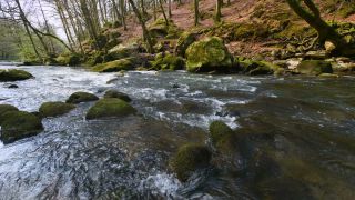 Link to Video | landscape, Rhineland-Palatinate, German-Luxembourg Nature Park, Irreler Wasserfälle, body of water, Germany, fluid flow, water, river, forest, Irrel, natural watercourse, brook, Prüm River, nature